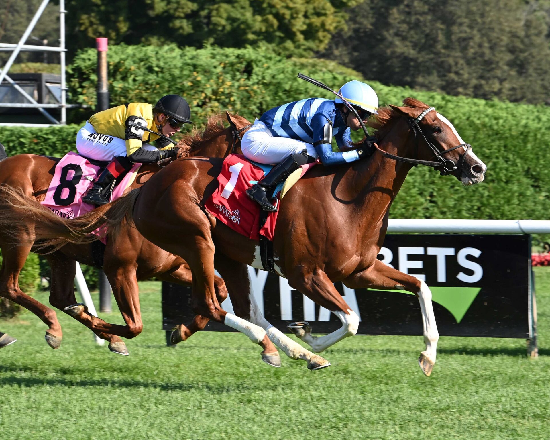 Gala Brand, horse, Violence, With Anticipation Stakes, jueves, 31 de agosto de 2023, Saratoga. Foto: Coglaniese Photo & Susie Raisher