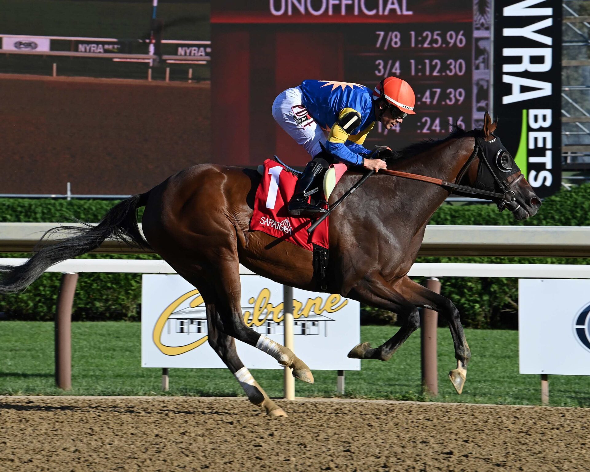 Magic Cross, horses, Good Magic, P. G. Johnson Stakes, miércoles, 30 de agosto de 2023, Saratoga. Foto: Coglaniese Photo & Susie Raisher