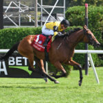 Parnac, horses, Zarak, Flower Bowl Stakes, sábado, 2 de septiembre de 2023, Saratoga. Foto: Coglaniese Photo & Susie Raisher