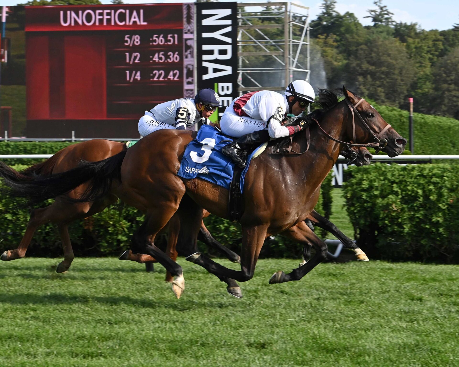 Thin White Duke, horses, Dominus, Harvey Pack Stakes, sábado, 2 de septiembre de 2023, Saratoga. Foto: Coglaniese Photo & Susie Raisher