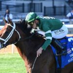 Agate Road, horse, Quality Road, Pilgrim Stakes, miércoles, 4 de octubre de 2023, Belmont At The Big A. Foto: Coglaniese Photo