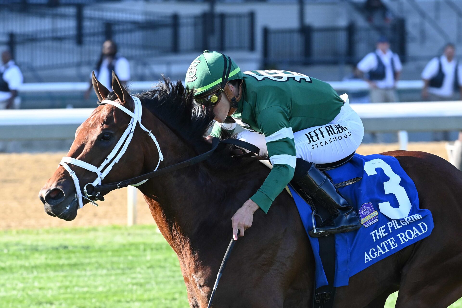Agate Road, horse, Quality Road, Pilgrim Stakes, miércoles, 4 de octubre de 2023, Belmont At The Big A. Foto: Coglaniese Photo