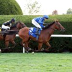Bold Act, horse, New Appoach, Sycamore Stakes, viernes, 13 de octubre de 2023, Keeneland. Foto: Coady Photography