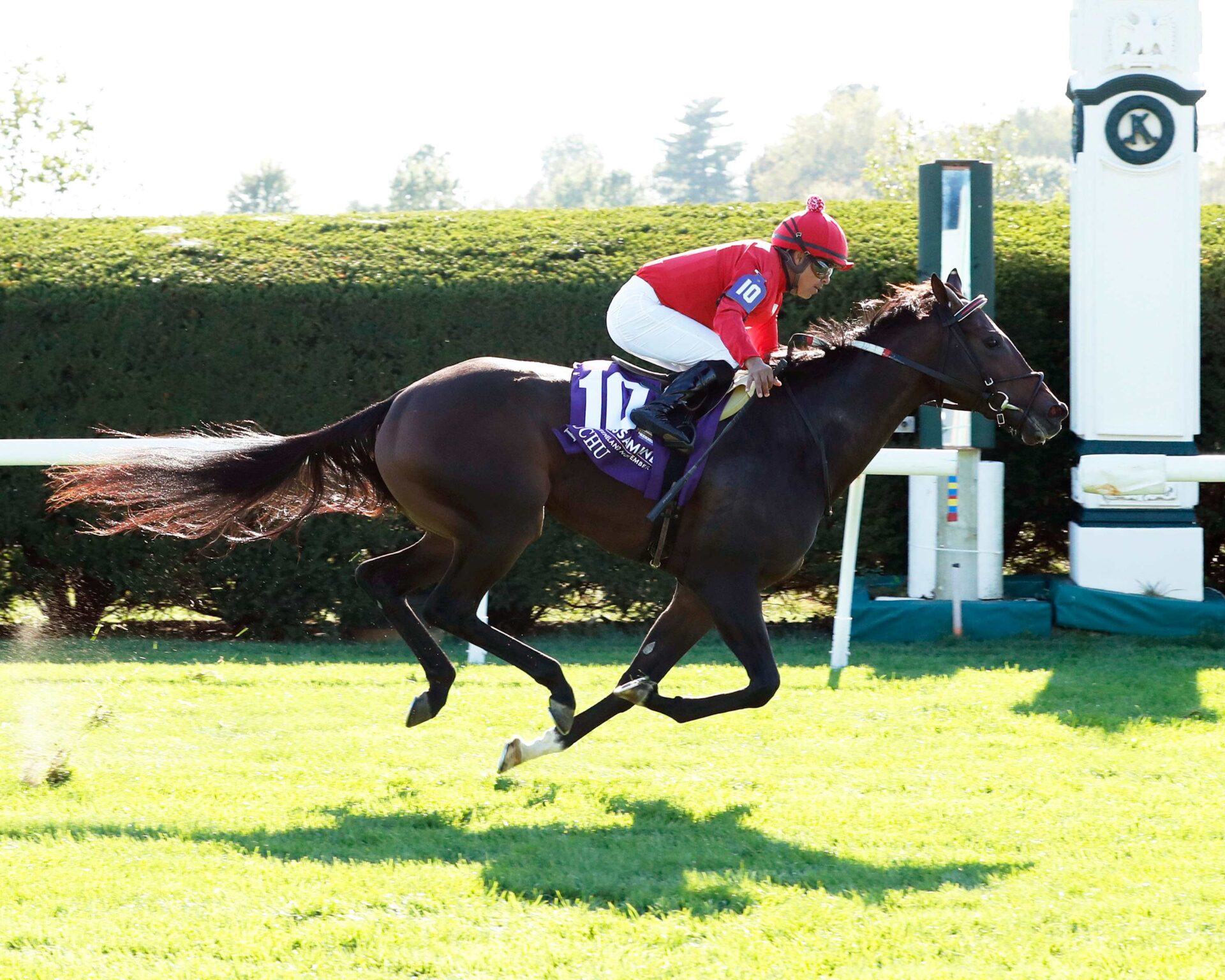 Buchu, horse, Justify, Keeneland Sales Jessamine Stakes, viernes, 6 de octubre de 2023, Keeneland. Foto: Coady Photography