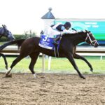 Candied, horses, Candy Ride, Darley Alcibiades Stakes, viernes, 6 de octubre de 2023, Keeneland. Foto: Coady Photography