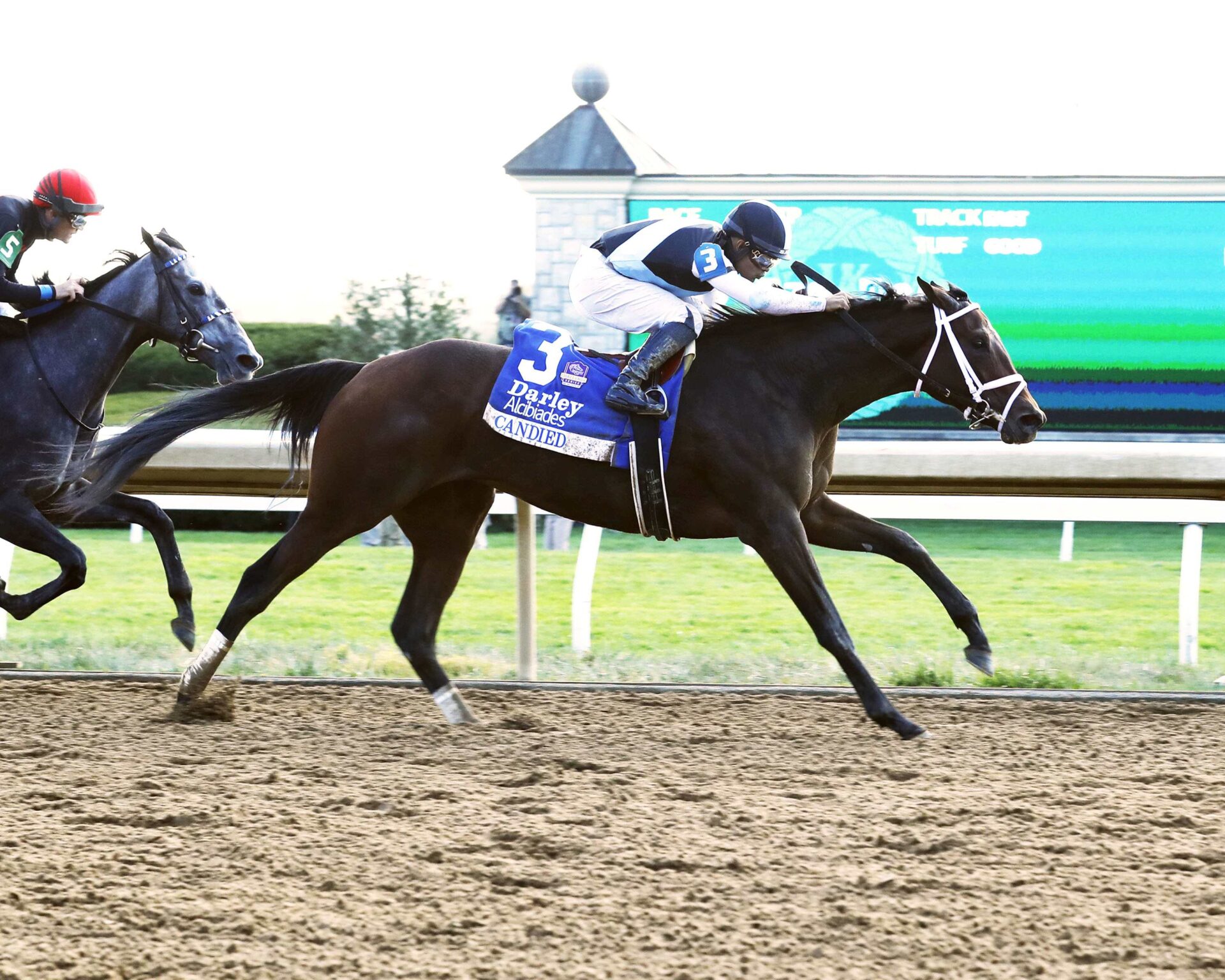 Candied, horses, Candy Ride, Darley Alcibiades Stakes, viernes, 6 de octubre de 2023, Keeneland. Foto: Coady Photography