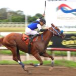 Capobolocco, horse, Jaguar Paw, Clásico Familia Orillac, sábado, 21 de octubrede 2023, Presidente Remón. Foto: Erick Ruiz Prensa CODERE Panamá