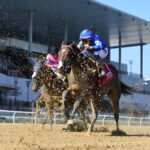 Caramel Swirl,, horse, Godolphin, Gallant Bloom Stakes, domingo, 1 de octubre de 2023, Belmont At The Big A. Foto: Coglaniese Photo & Chelsea Durand