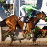 Courage, horse, Bombardero Daddy, Clásico Fernando Coloma Reyes, sábado, 14 de octubre de 2023, Hipódromo Chile. Foto: Jaime Cortés