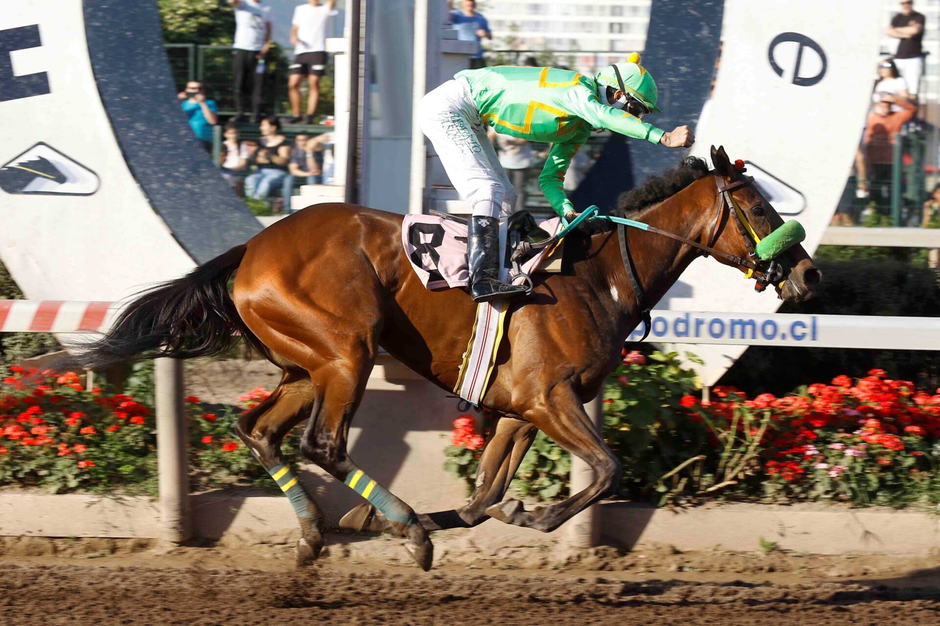Courage, horse, Bombardero Daddy, Clásico Fernando Coloma Reyes, sábado, 14 de octubre de 2023, Hipódromo Chile. Foto: Jaime Cortés
