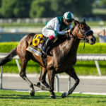 Didia, Horses, Orpen, Rodeo Drive Stakes, sábado, 7 de octubre de 2023, Santa Anita Park. Foto: Benoit Photo