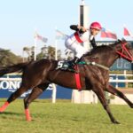 Doutor Sureño, horses, Agnes Gold, Longines Gran Premio Latinoamericano, sábado, 7 de octubre de 2023, Hipódromo de San Isidro. Foto: RRPP San Isidro