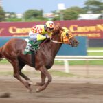 El Rojo, horse, Haras San Miguel, Clásico Familia Eleta, sábado, 7 de octubre de 2023, Presidente Remón. Foto: Erick Ruiz Prensa CODERE Panamá