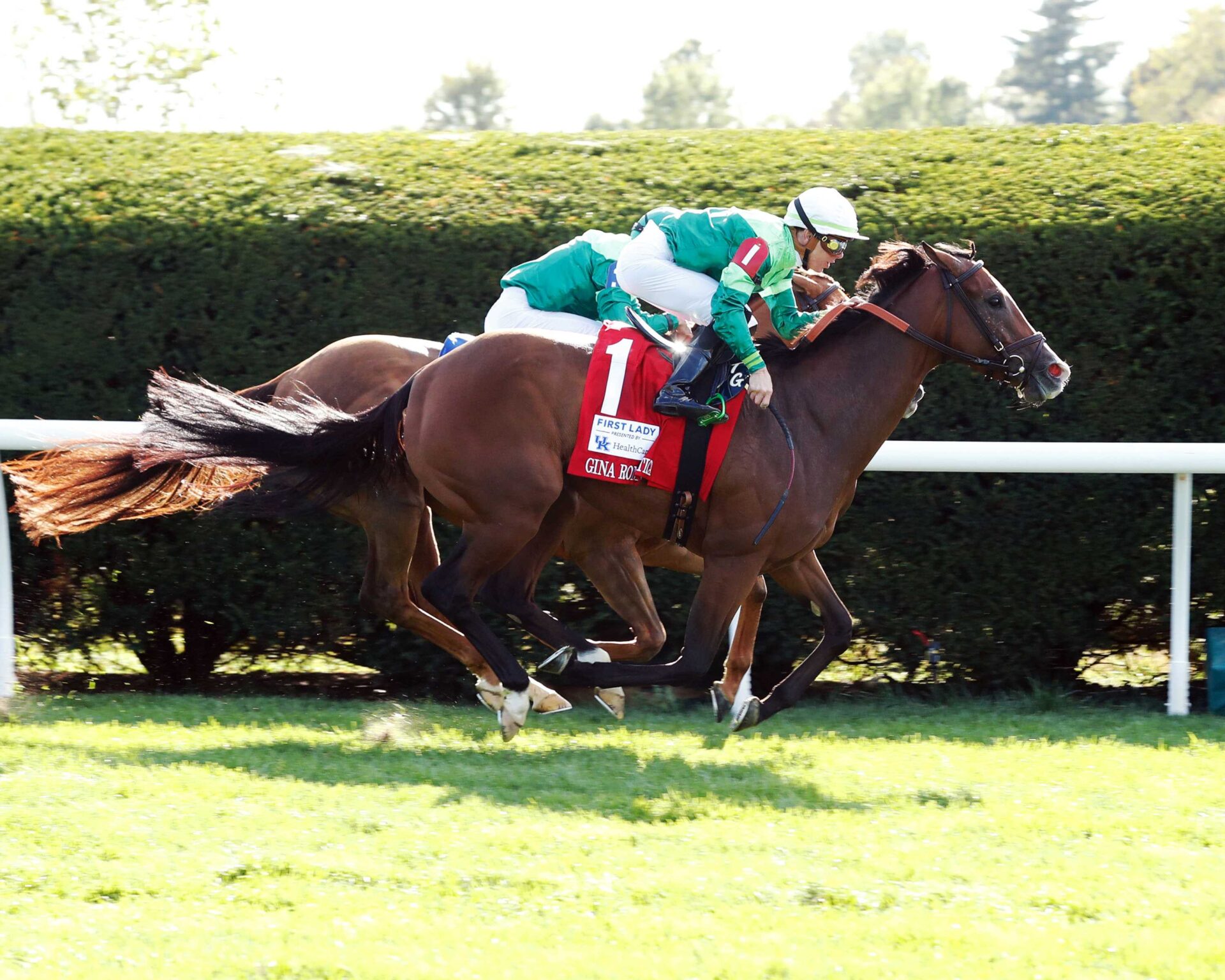 Gina Romantica, horse, Into Mischief, Fanduel First Lady Stakes, sábado, 7 de octubre de 2023, Keeneland. Foto: Coady Photography
