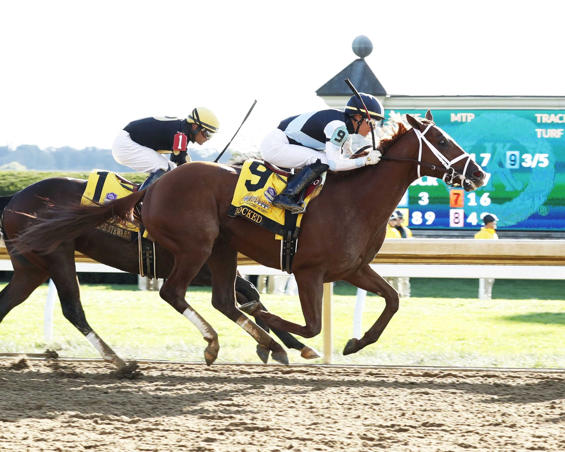 Locked, horses, Eclipse Thoroughbreds, Breeders Futurity, sábado, 7 de octubre de 2023, Keeneland. Foto: Coady Photography
