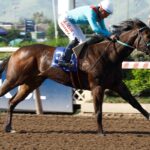 La Candidata, horse, Haras Paso Nevado, Clásico Papelón, sábado, 14 de octubre de 2023, Hipódromo Chile. Foto: Jaime Cortés