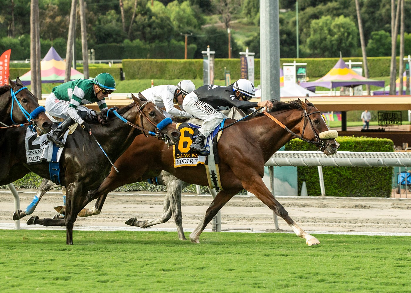 Lane Way, Horses, Into Mischief, Eddie D Stakes, sábado, 30 de septiembre de 2023, Santa Anita Park. Foto: Benoit Photo