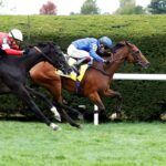 Mawj, horse, Exceed And Excel, Sycamore Stakes, sábado, 14 de octubre de 2023, Keeneland. Foto: Coady Photography