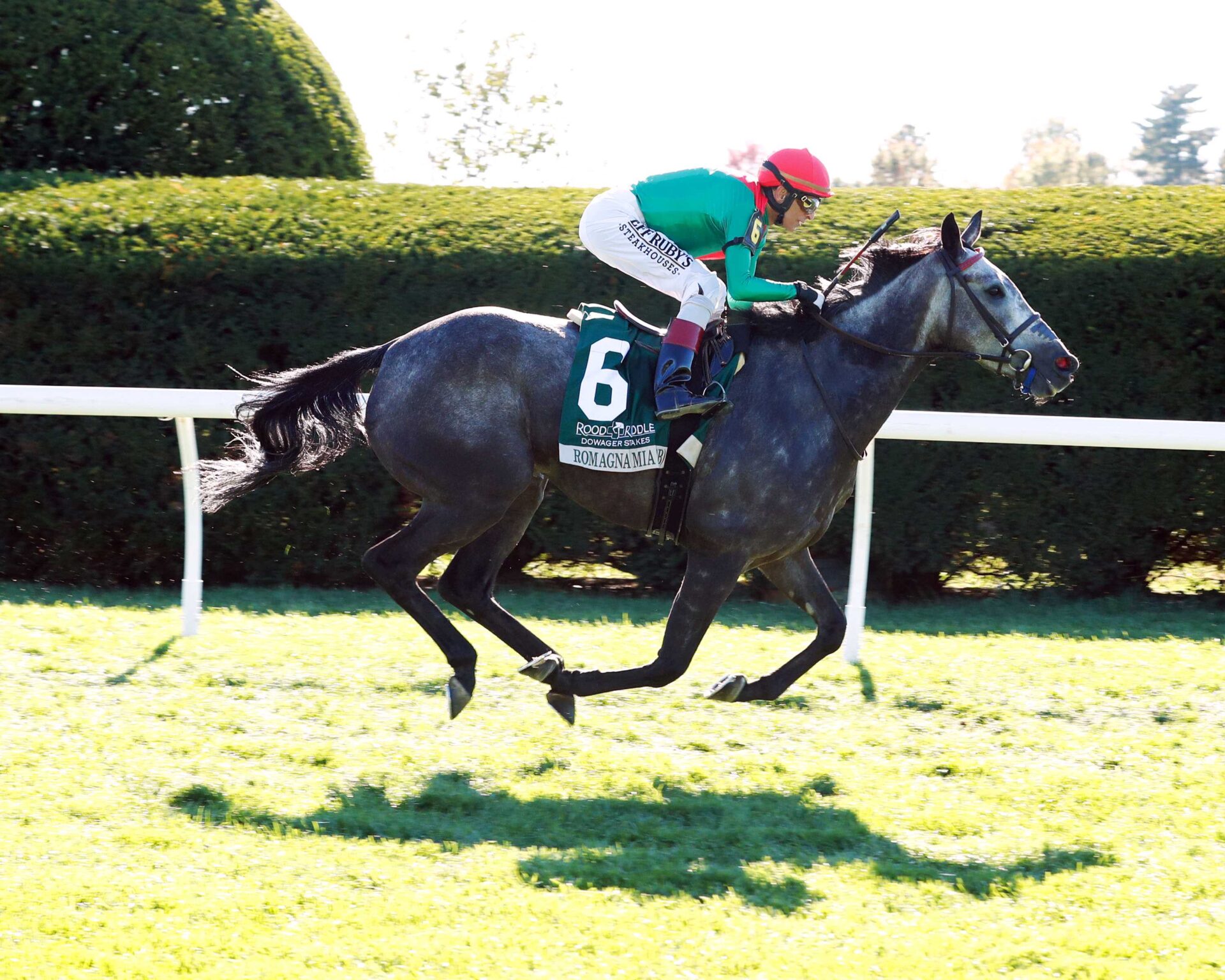 Romagna Mía, horse, Mastercraftsman, Rood and Riddle Dowager Stakes, domingo, 23 de octubre de 2023, Keeneland. Foto: Coady Photography