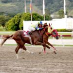 Rod Hendrick, horse, Haras Los Caracaros, Clásico Simón Bolívar, domingo, 29 de octubre de 2023, La Rinconada. Foto: José Antonio Aray