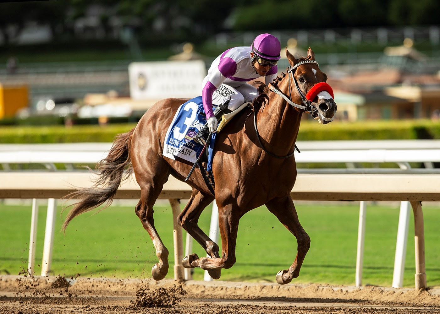 Slow Down Andy, Horses, Nyquist, Awesome Again Stakes, sábado, 30 de septiembre de 2023, Santa Anita Park. Foto: Benoit Photo