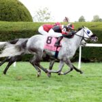 Tony Ann, horse, Alex Venneri Racing, Franklin Stakes, domingo, 15 de octubre de 2023, Keeneland. Foto: Coady Photography
