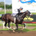 Tropical King, Honor Code, Clásico Familia Navarro, sábado, 14 de octubre de 2023, Presidente Remón. Foto: Erick Ruiz Prensa CODERE Panamá
