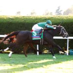 Up To The Mark, horse, Not This Time, Coolmore Mile Stakes, sábado, 7 de octubre de 2023, Keeneland. Foto: Coady Photography