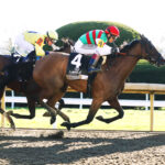 Vahva, horse, Gun Runner, Lexus Raven Run Stakes, sábado, 21 de octubre de 2023, Keeneland. Foto: Coady Photography