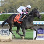 Jody´s Pride, horse, Amarican Pharoah, Futurity Stakes, domingo, 8 de octubre de 2023, Aqueduct. Foto: Coglaniese Photo & Susie Raisher