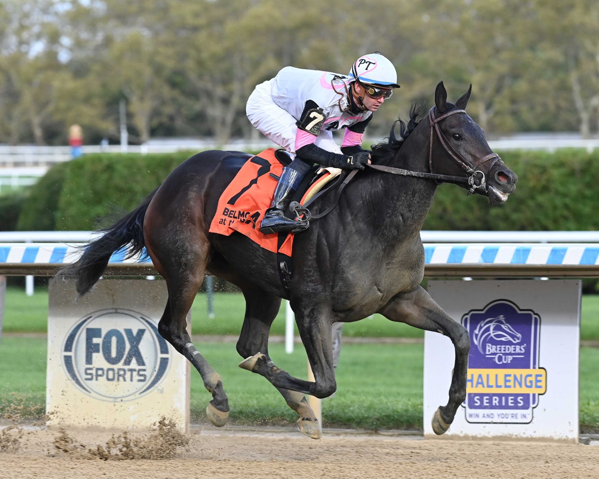 Jody´s Pride, horse, Amarican Pharoah, Futurity Stakes, domingo, 8 de octubre de 2023, Aqueduct. Foto: Coglaniese Photo & Susie Raisher