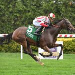 McKulick, horse, Frankel, Waya Stakes, sábado, 7 de octubre de 2023, Belmont At The Big A. Foto: Coglaniese Photo & Susie Raisher