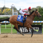 Randomized, horse, Klaravich Stables,Beldame Stakes, domingo, 8 de octubre de 2023, Aqueduct. Foto: Coglaniese Photo & Susie Raisher