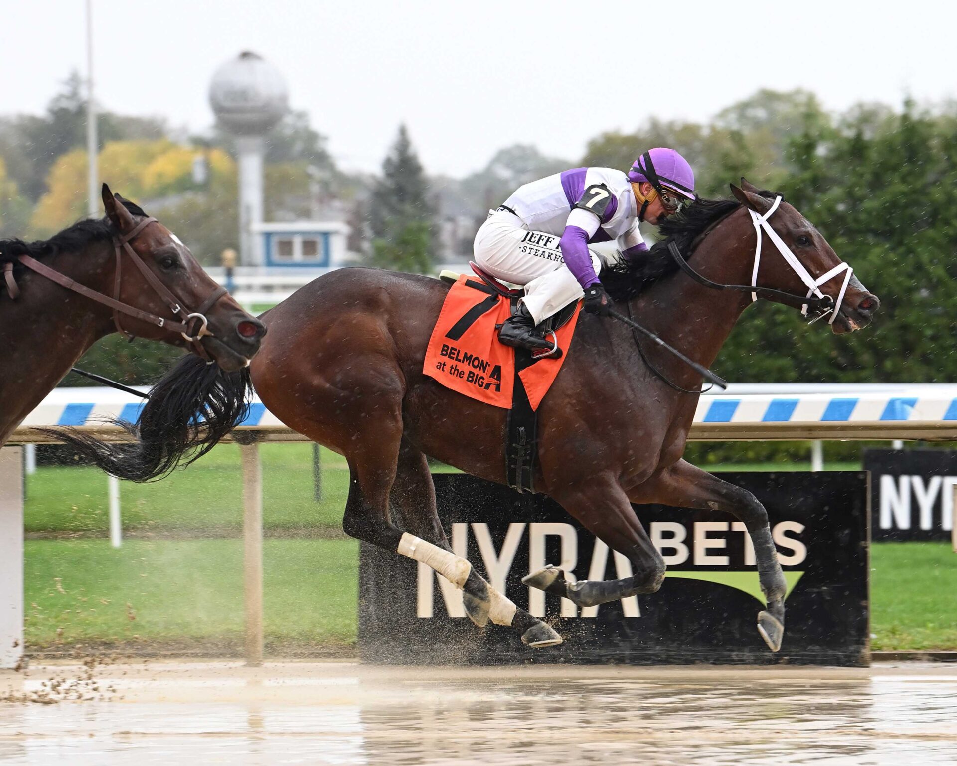 Today´s Flavor, horse, Laoban, Belmont Turf Sprint Stakes, sábado, 7 de octubre de 2023, Aqueduct. Foto: Coglaniese Photo & Susie Raisher