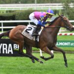 War Like Goddess, horse, Calumet Farm, Joe Hirsch Turf Classic Stakes, sábado, 7 de octubre de 2023, Belmont At The Big A. Foto: Coglaniese Photo & Susie Raisher