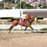Avasallante, horse, Haras La Primavera, Clásico Aviación Militar, domingo, 26 de noviembre de 2023, La Rinconada. Foto: José Antonio Aray
