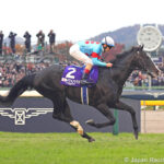 Equinox, horse, Kitasan Black, Japan Cup, domingo, 26 de noviembre de 2023, Tokyo Racecourse. Foto: JRA