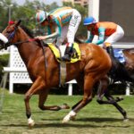 Netinna, horses, Haras Don Alberto, Clásico Breeders´Cup, lunes, 20 de noviembre de 2023, Club Hípico de Santiago. Foto: Jaime Cortés