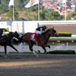 Sabalenka, horse, Haras Los Samanes, Clásico Ciudad de Caracas, domingo, 19 de noviembre de 2023, La Rinconada. Foto: José Antonio Aray