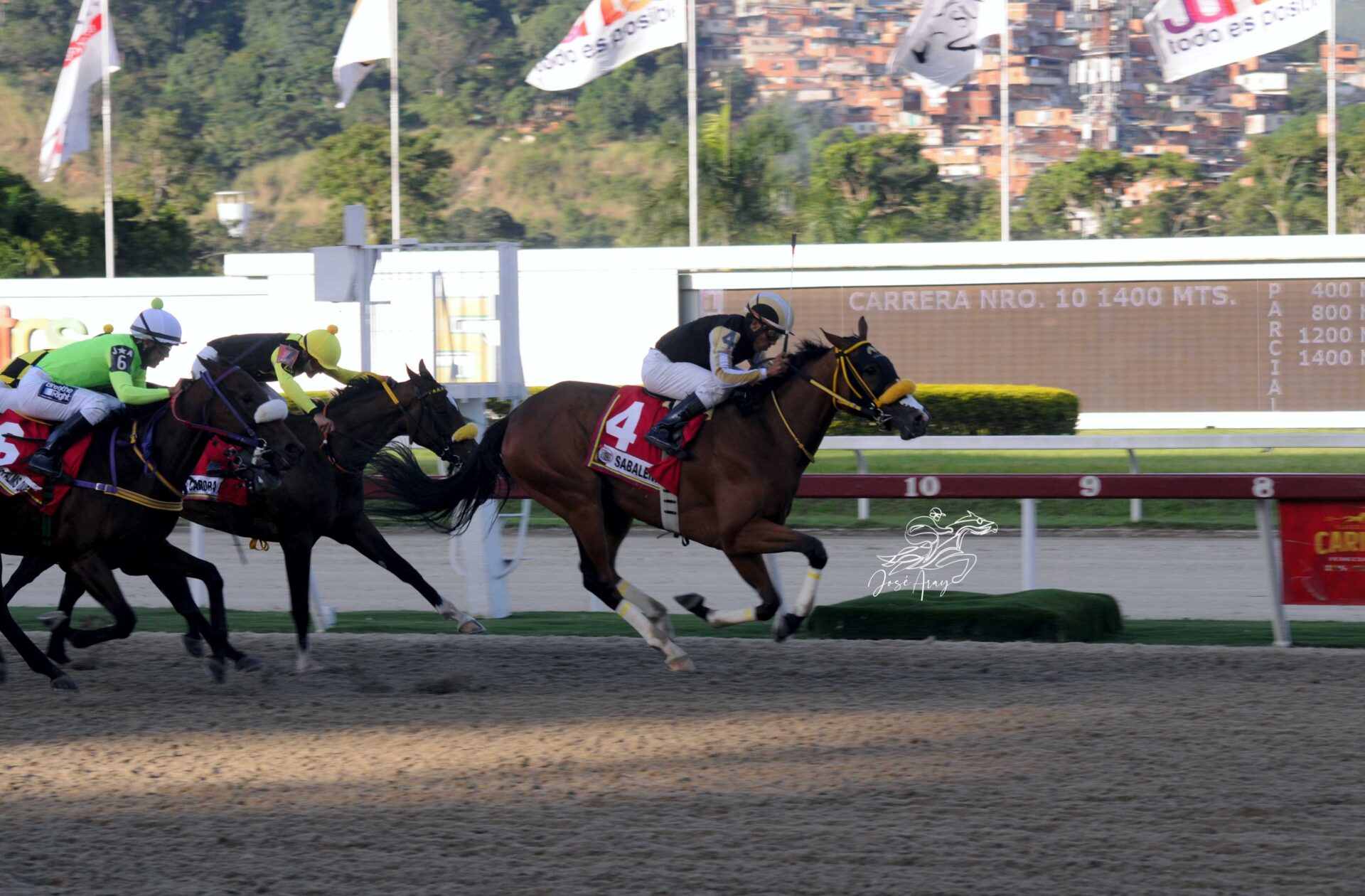 Sabalenka, horse, Haras Los Samanes, Clásico Ciudad de Caracas, domingo, 19 de noviembre de 2023, La Rinconada. Foto: José Antonio Aray