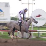 Silver Wood, horse, Raison d´Etat, Clásico Bomberos, sábado, 18 de noviembre de 2023, Presidente Remón. Foto: Erick Ruiz Prensa CODERE Panamá