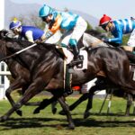 Vamos Por Más, horses, Fantasmagórico, Clásico ACHVE, lunes, 20 de noviembre de 2023, Club Hípico de Santiago. Foto: Jaime Cortés
