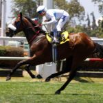 Ando Soltera, horse, Flameaway, Clásico Debut Potrancas, domingo, 24 de diciembre de 2023, Club Hípico de Santiago. Foto: Jaime Cortés