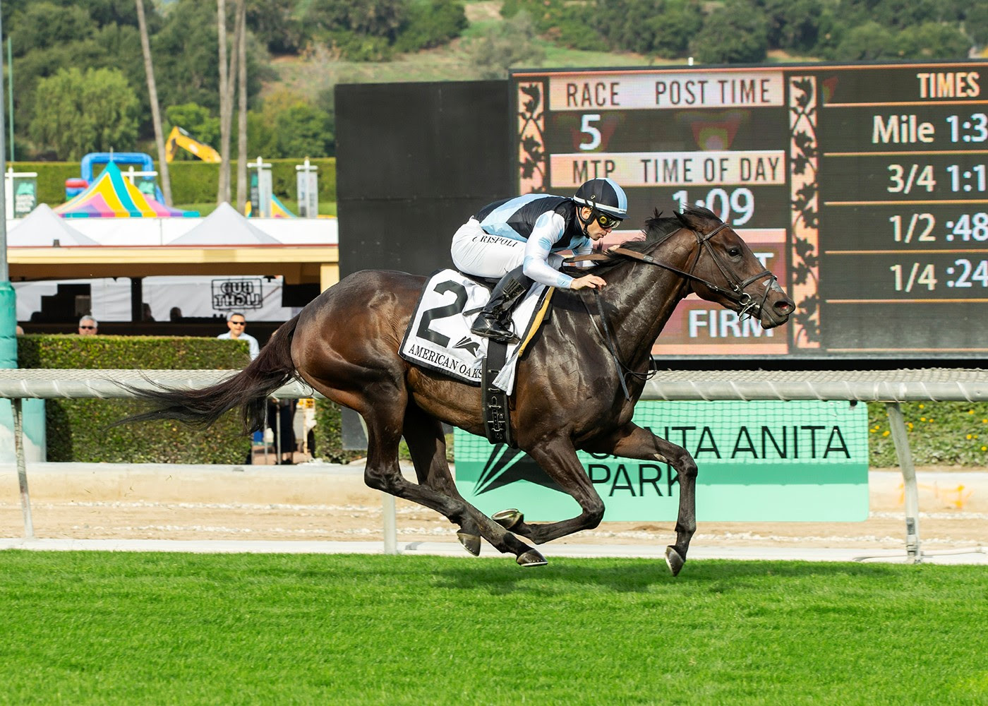 Anisette, Horses, Awtaad, American Oaks, martes, 26 de diciembre de 2023, Santa Anita Park. Foto: Benoit Photo