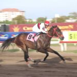 Cyrano, horse, Dublin, Clásico Navidad, viernes, 23 de diciembre de 2023, Presidente Remón. Foto: Erick Ruiz Prensa CODERE Panamá