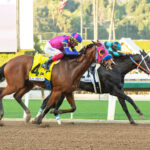Daddysruby, Horses, Frac Daddy, La Brea Stakes, martes, 26 de diciembre de 2023, Santa Anita Park. Foto: Benoit Photo