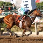 Dechambeau, horse, Haras Matriarca, Clásico Año Nuevo, sábado, 30 de diciembre de 2023, Hipódromo Chile. Foto: Jaime Cortés