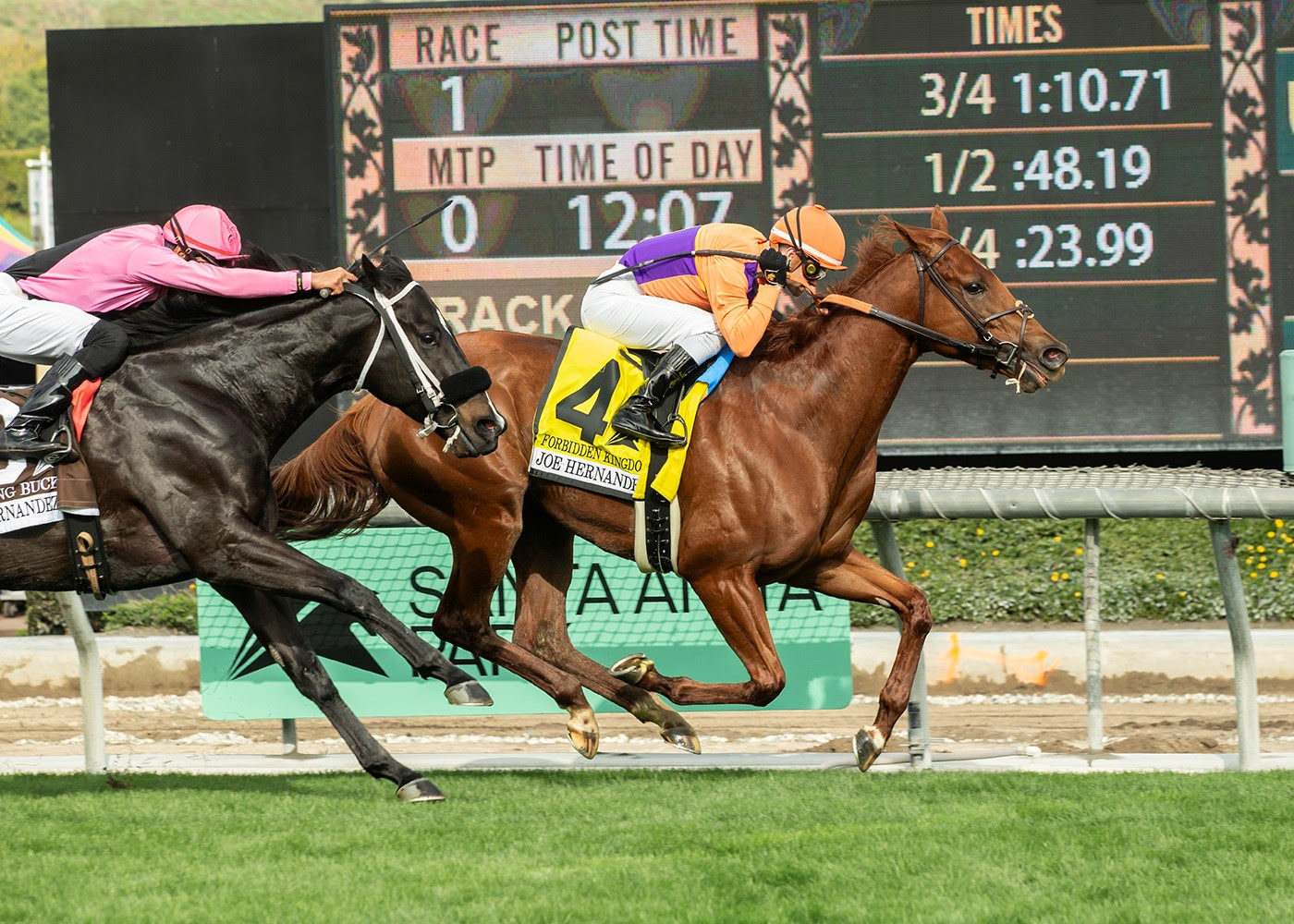 Forbidden Kingdom, Horses, American Pharoah, Joe Hernández Stakes, sábado, 30 de diciembre de 2023, Santa Anita Park. Foto: Benoit Photo