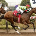 Golden Nickel, horse, Goldencents, Clásico Bristol, jueves, 28 de diciembre de 2023, Hipódromo Chile. Foto: Jaime Cortés