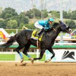 Newgrange, Horses, Violence, San Antonio Stakes, martes, 26 de diciembre de 2023, Santa Anita Park. Foto: Benoit Photo
